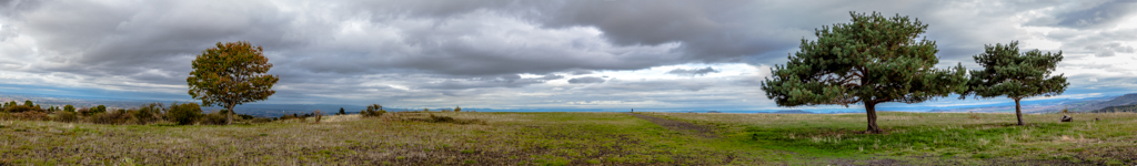 -40-pano-des-arbres-1-.jpg