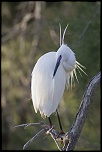 -camargue_30-04-2014-19-40-01_1199.jpg
