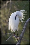 -camargue_30-04-2014-19-40-04_1207.jpg
