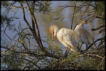 -camargue_30-04-2014-20-00-18_1311.jpg