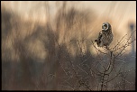 -n-lu_16-01-2017-16-06-27_0453.jpg
