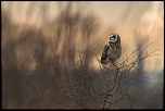 -n-lu_16-01-2017-16-07-22_0495.jpg