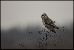 -n-lu_16-01-2017-16-35-52_1001.jpg