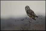 -n-lu_16-01-2017-16-36-05_1009.jpg
