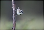 -saint-piat_20-09-2017-08-09-36_0037.jpg