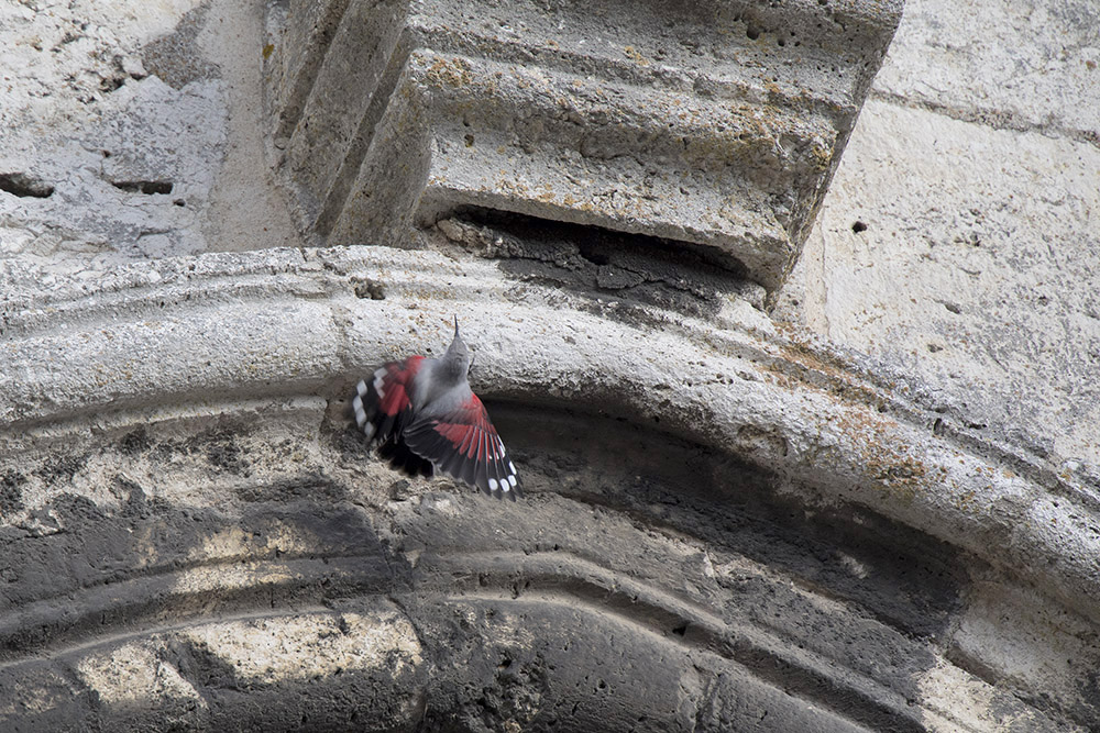 -chartres_19-11-2017-14-23-51_0025.jpg