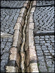 IMG 5539