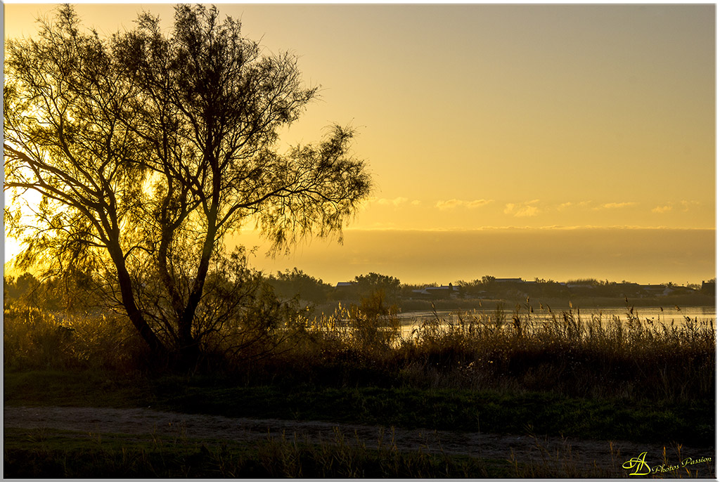 Un de plus &#33;&#33;-coucher-de-soleil-en-camargue.jpg