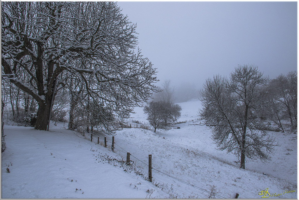 Un de plus &#33;&#33;-sous-la-neige.jpg