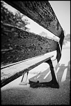 Un de plus &#33;&#33;-5s6a7348.jpg