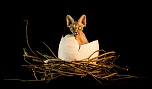 Un de plus &#33;&#33;-5s6a7569.jpg