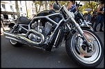 Les Harley