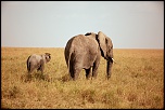 nettoyage-la-petite-famille-dans-la-prairie.jpg