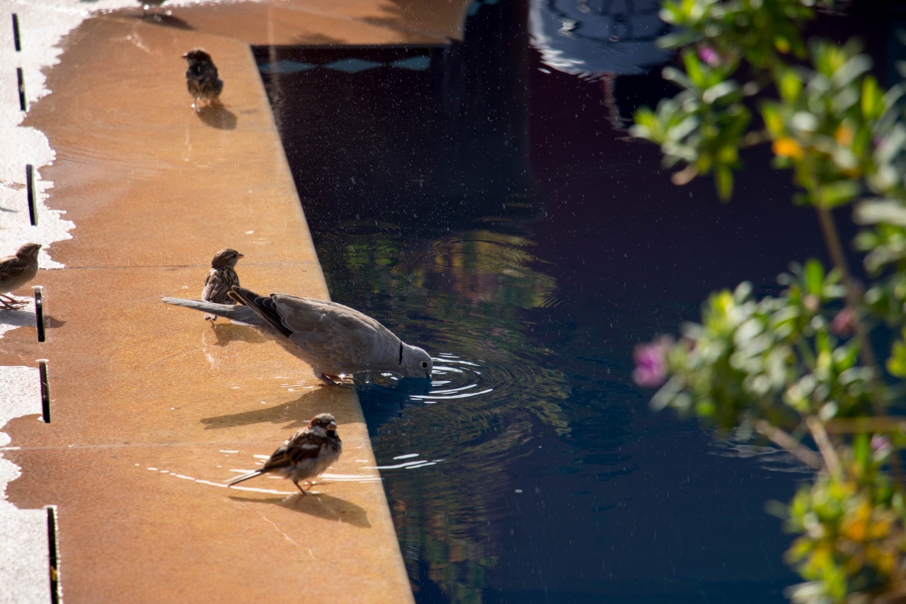 bonjour tout le monde-marrakech-19-.jpg