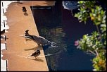 bonjour tout le monde-marrakech-19-.jpg