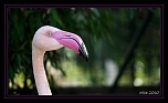 -6851.jpg