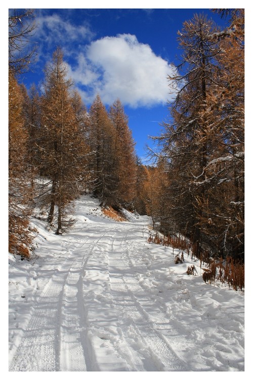 arvieux - nov 2010