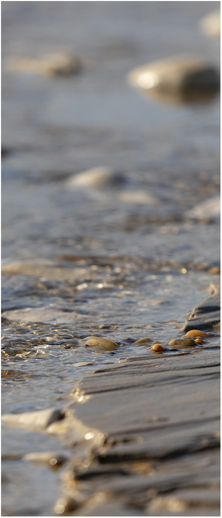 Plage de Sablanceaux