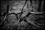 XS drive II-ultron-map-mini-f1.7.jpg