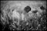XS drive II-img_7334.jpg