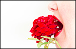 Stockage-s28-les-roses.jpg