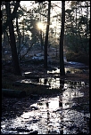 [Photo-Shop]Selection-7002.jpg