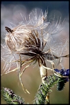 photos de nuite et beaux ciel...-7049.jpg