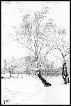 [Photo-Shop]Erreur bizare dans elements-7058.jpg