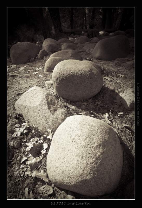 Remerciement-7248.jpg