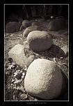 Remerciement-7248.jpg