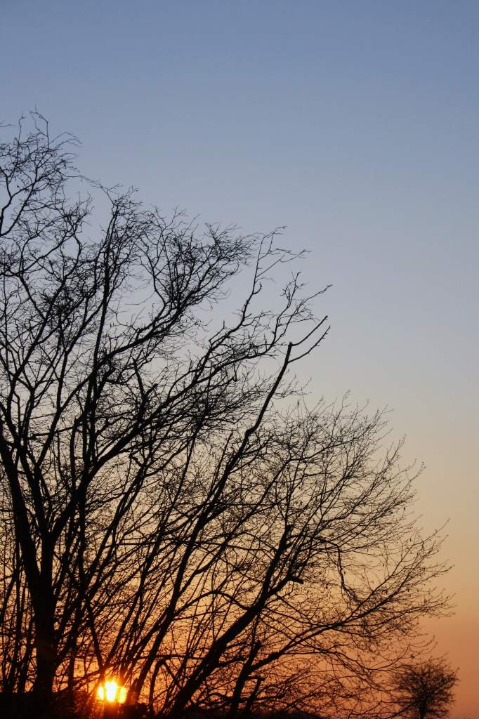 54mm | 1/200s | f/10 | ISO 200