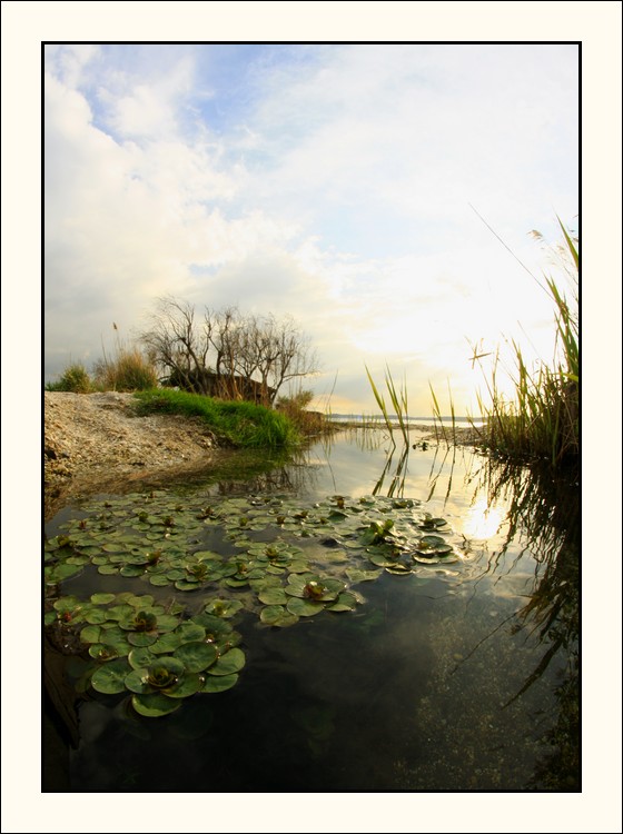Petite Camargue