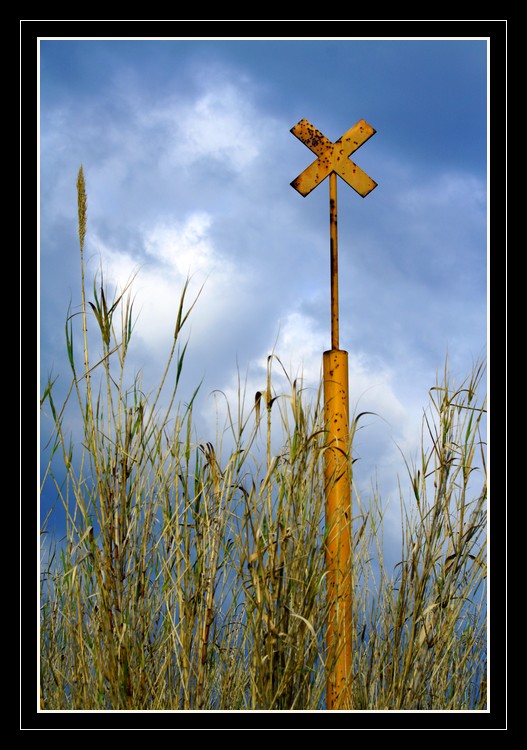 Cross