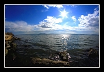 Petite Camargue