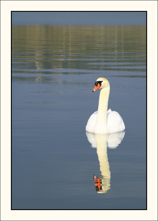 -img_3073_web.jpg