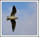 -img_3165_web2.jpg