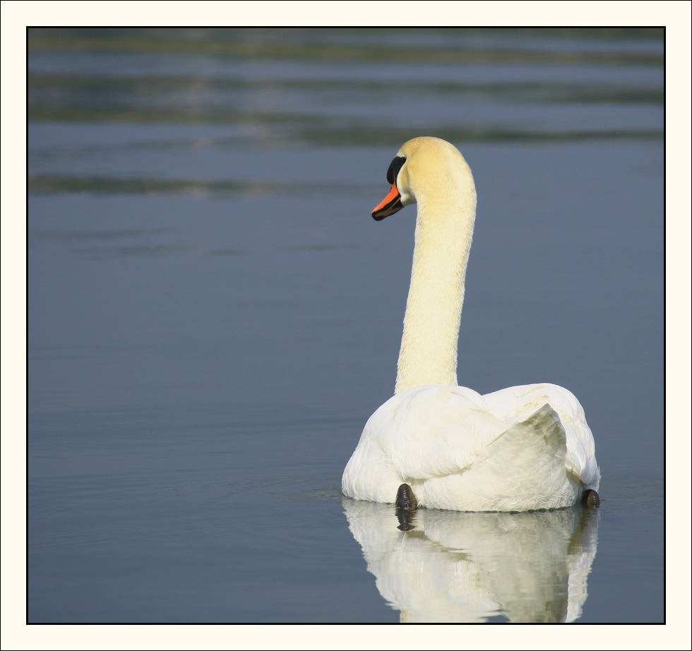 -img_3076_web.jpg