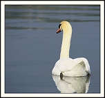 -img_3076_web.jpg