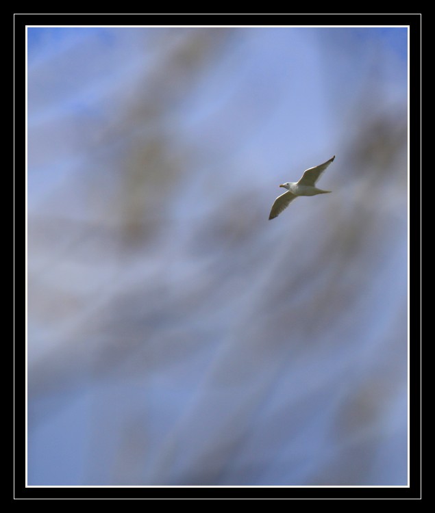 -img_3079_web.jpg