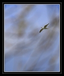 -img_3079_web.jpg