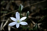 Salut-img_6702.jpg