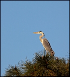 -img_8709.jpg