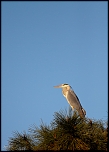 -img_8710.jpg