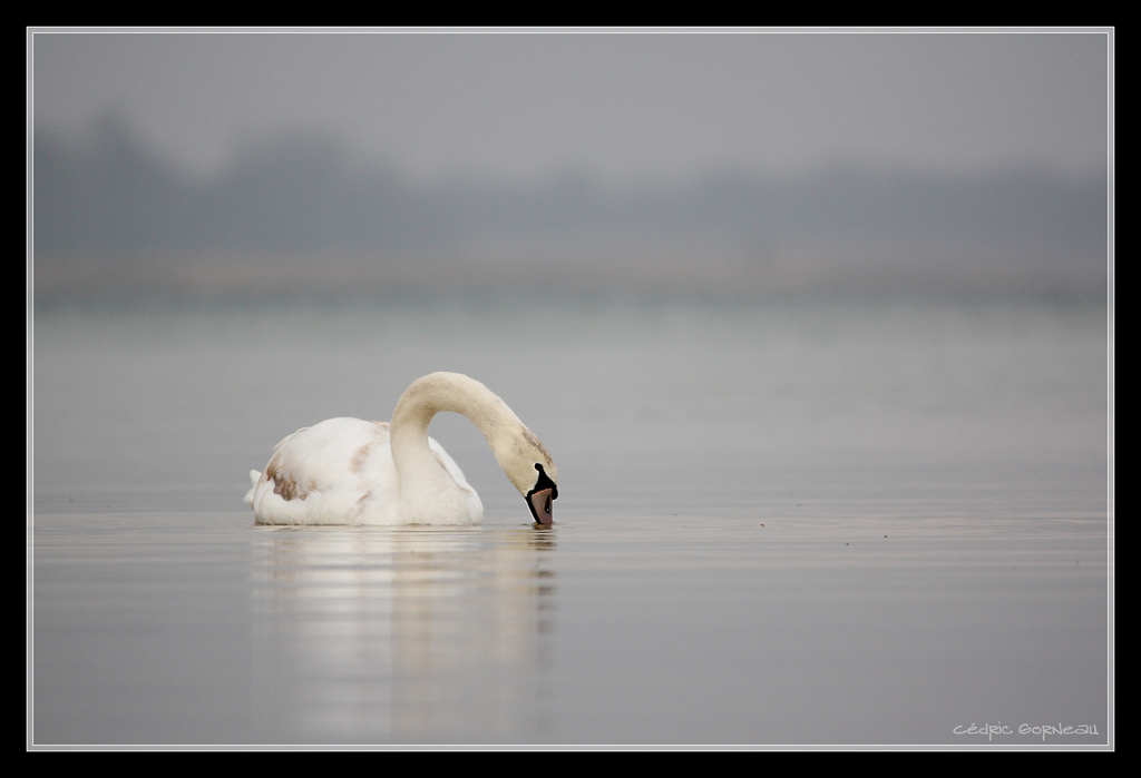 -img_5109c.jpg