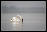 -img_5109c.jpg