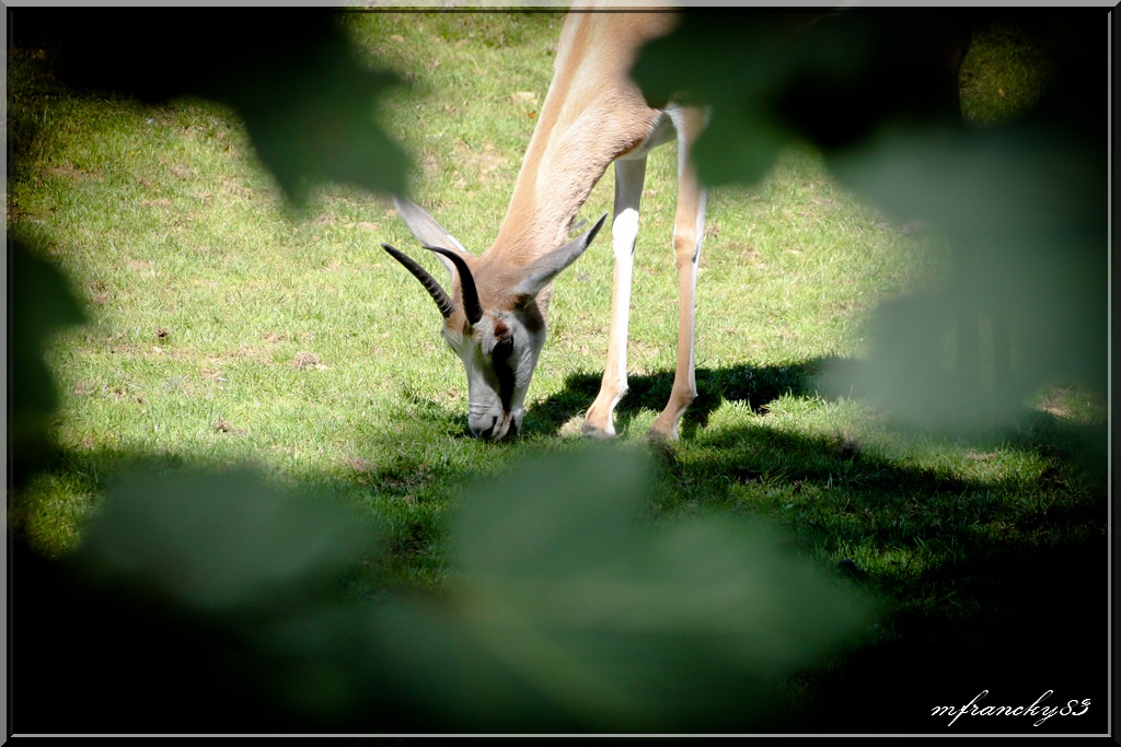 -img_5795r.jpg