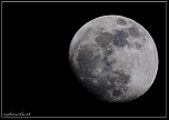 -img_1451-zoom-1.jpg