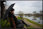 -img_9550.jpg