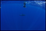 Et un de plus...-img_9495.jpg