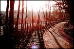 -img_0786-1.jpg